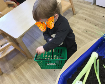 choosing-ingredients