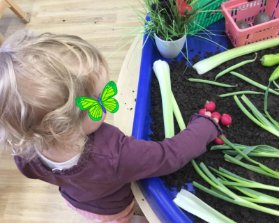 exploring-fresh-ingredients