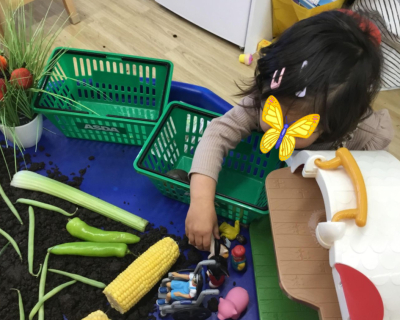 playing-with-our-food