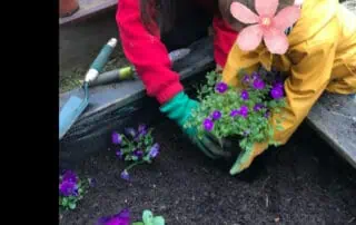 Flower planting activity with young children at Monkey Puzzle Day Nursery Enfield, gardening, outdoor play, early childhood education, caring for plants.