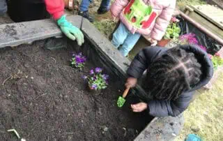 Colorful children planting flowers in a garden bed at Monkey Puzzle Day Nursery Enfield, engaging kids in hands-on outdoor activities and promoting early childhood gardening education.