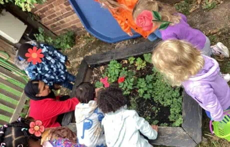 Brightly dressed preschool children gathered around a garden bed, exploring and learning about plants during outdoor activity at Monkey Puzzle Day Nursery Enfield.
