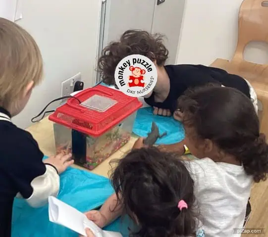 Monkey Puzzle Day Nursery Enfield offers engaging indoor activities for young children, encouraging early development and teamwork among preschoolers.
