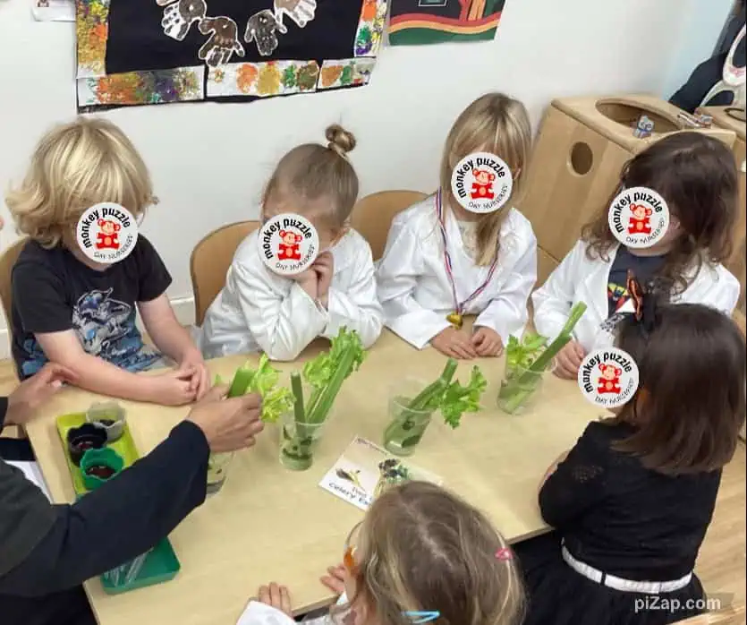 Children engaging in a plant learning activity at Monkey Puzzle Day Nursery Enfield, showing hands-on educational experience in a preschool environment.