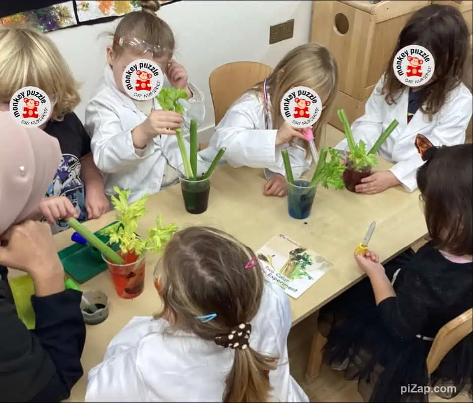 Children engaging in preschool gardening activities at Monkey Puzzle Day Nursery Enfield, developing early science and responsibility skills.